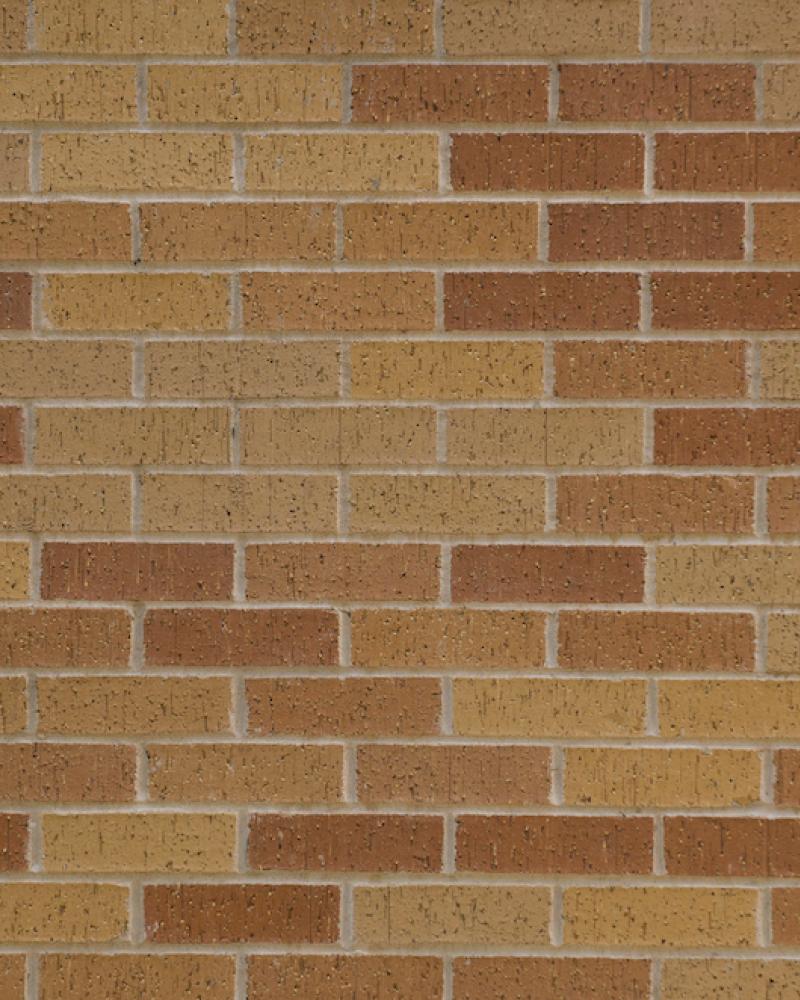 Bricks